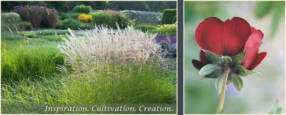 Contact Orchard Dene Nurseries