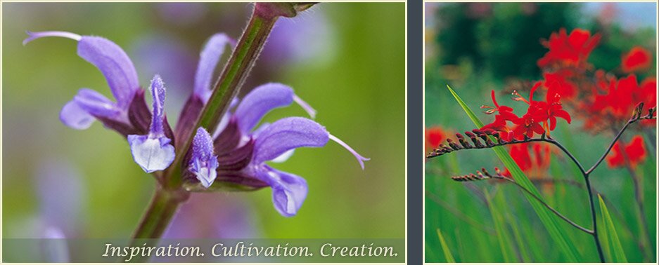 Orchard Dene Nurseries - Oxfordshire based wholesale nursery