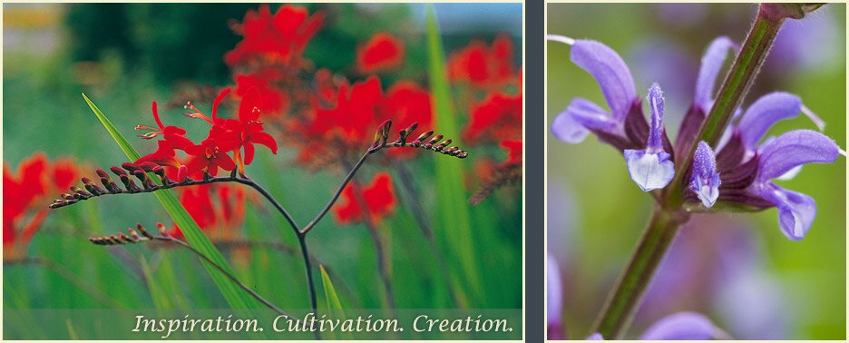 Orchard Dene Nurseries - Oxfordshire based wholesale nursery